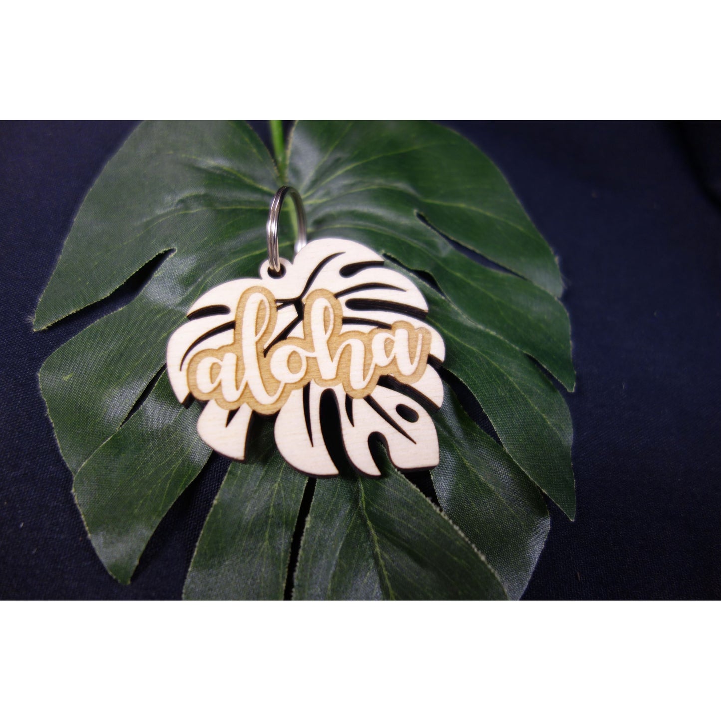 Monstera Variety Pack