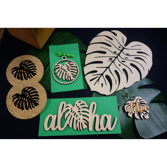 Monstera Variety Pack