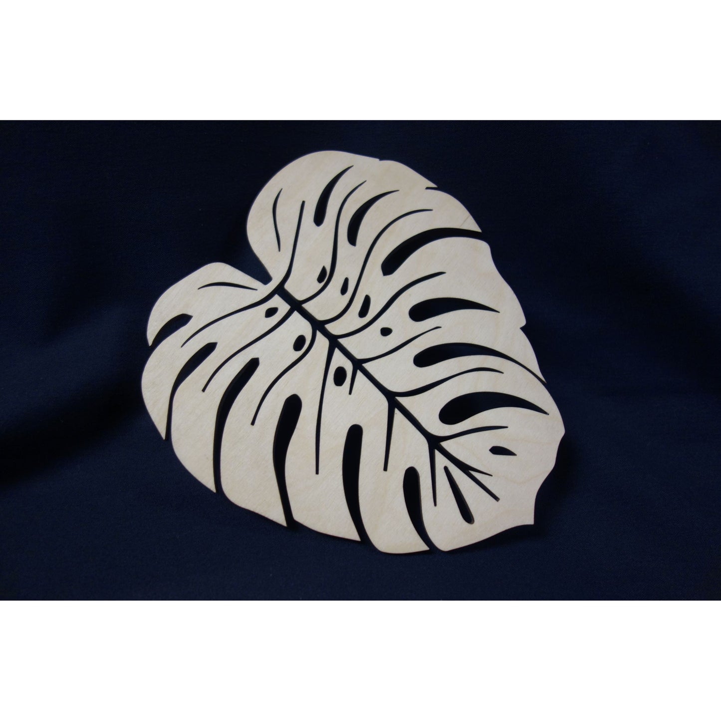 Monstera Variety Pack