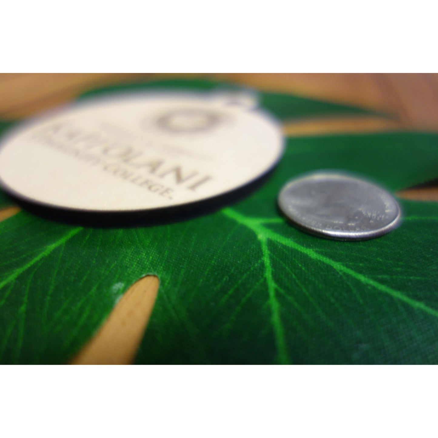 Officially Licensed University of Hawaii Kapiolani Community College Keepsake Ornament