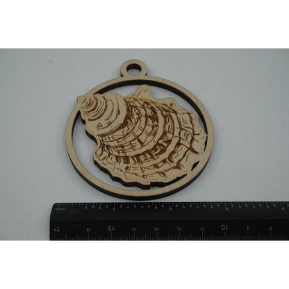 Turban Shell Keepsake Ornament