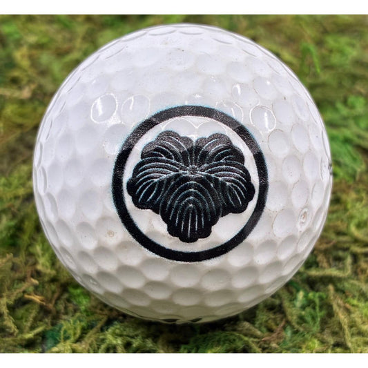 Custom UV Printed Golf Balls (1 Dozen) (BYOB – Bring Your Own Balls)