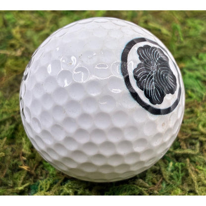 Custom UV Printed Golf Balls (1 Dozen) (BYOB – Bring Your Own Balls)