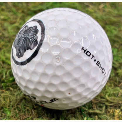 Custom UV Printed Golf Balls (1 Dozen) (BYOB – Bring Your Own Balls)
