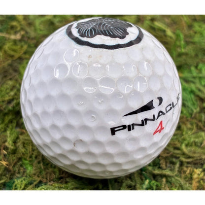 Custom UV Printed Golf Balls (1 Dozen) (BYOB – Bring Your Own Balls)