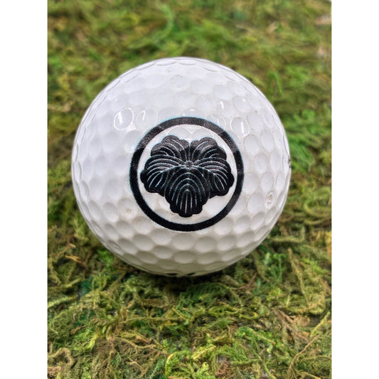 Custom UV Printed Golf Balls (1 Dozen) (BYOB – Bring Your Own Balls)