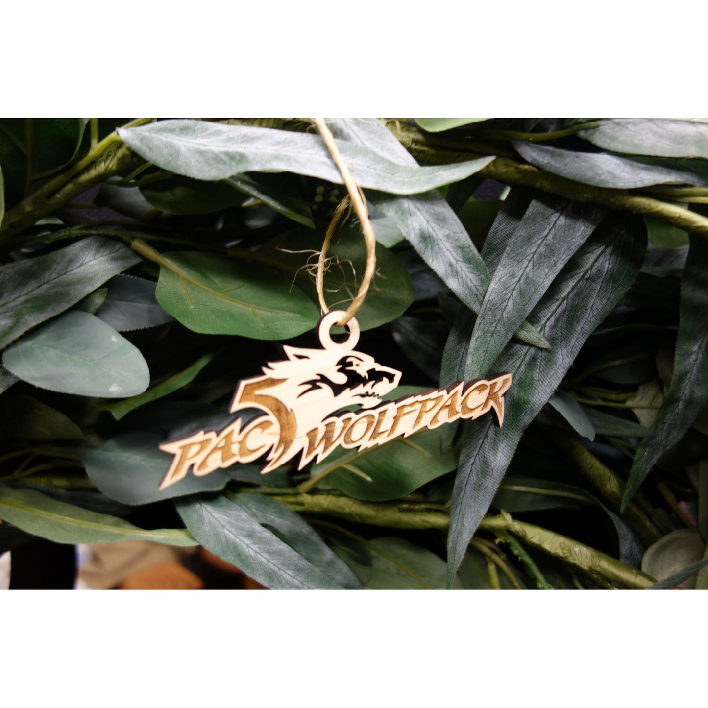 Pac-Five Athletics *FUNDRAISER* Keepsake Ornament