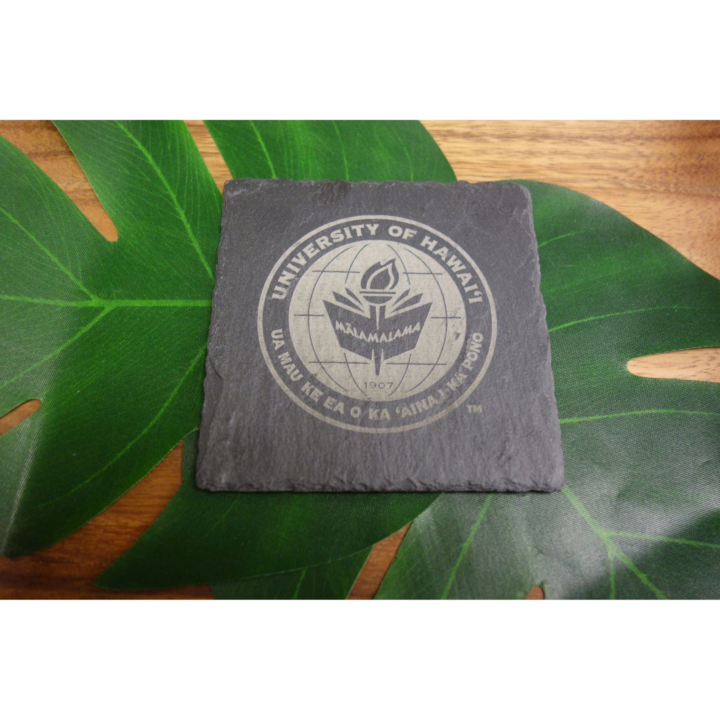 Set of 4 Slate Coasters - Officially Licensed University of Hawaii Logos